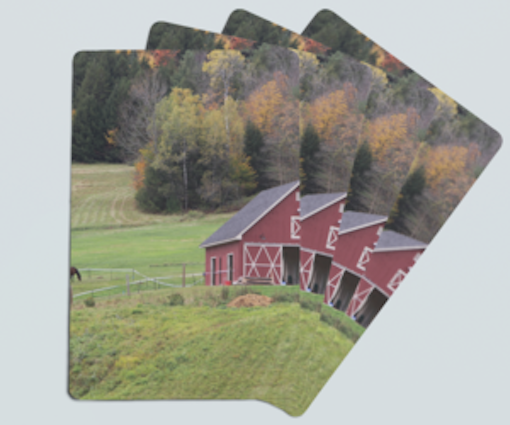 Custom Design/Photo Playing Cards