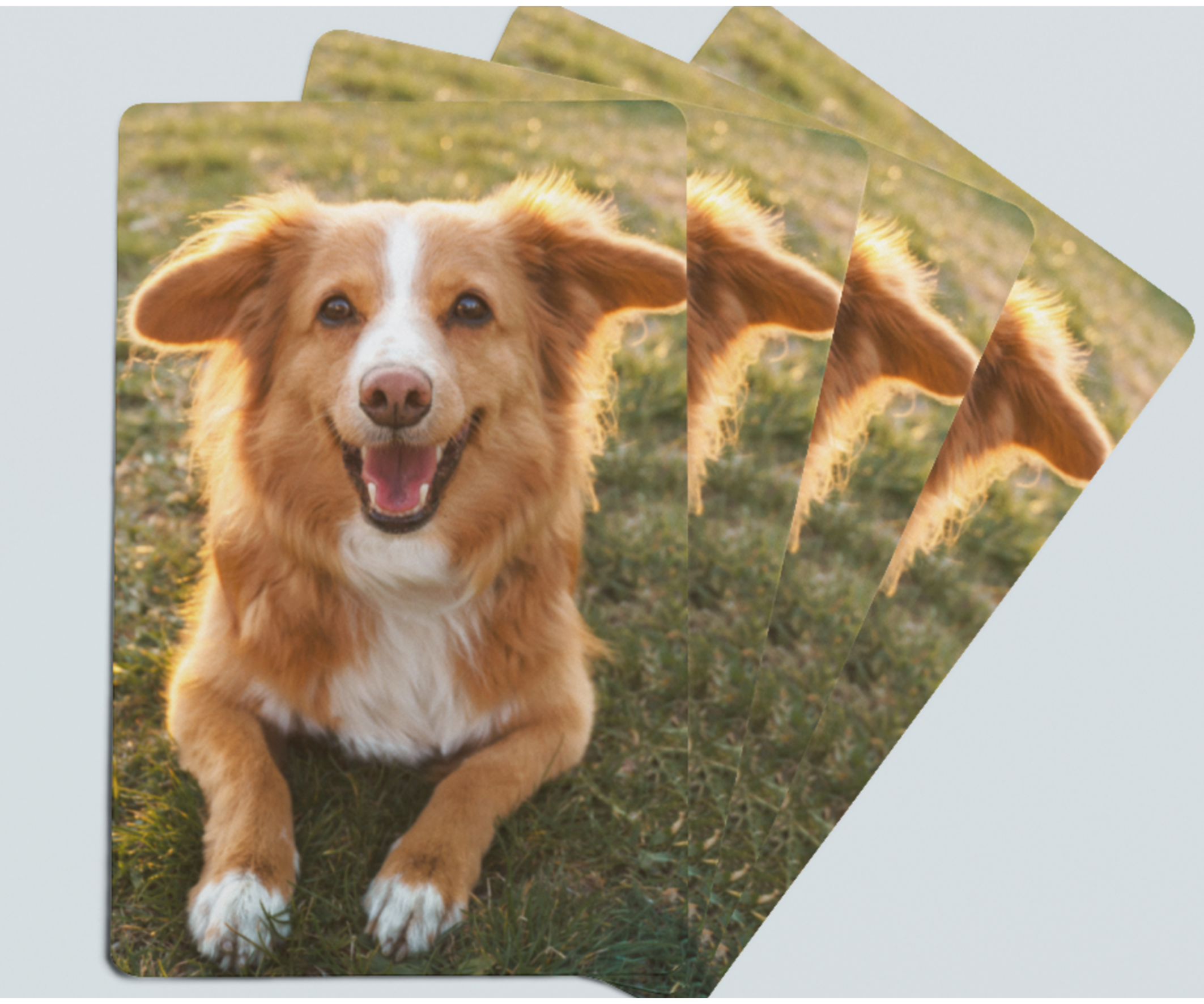 Customized Playing Cards